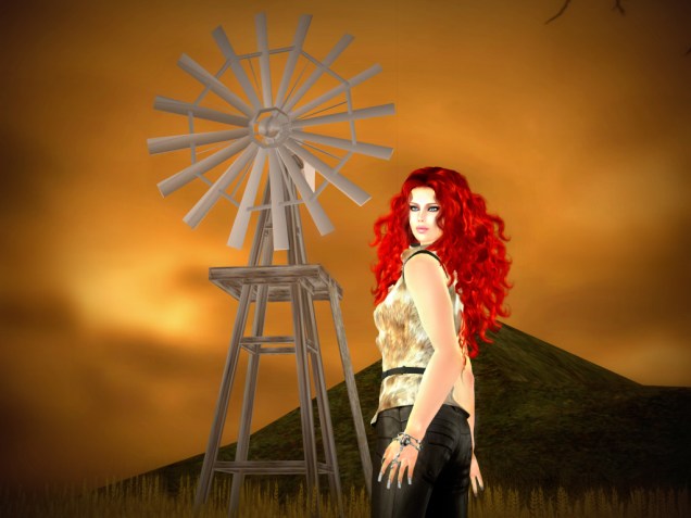 1 Vintage Vinyl_004 lomo1