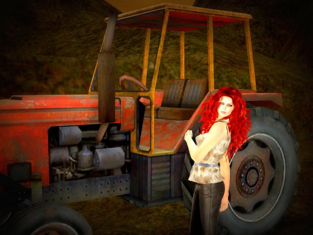 1 Vintage Vinyl_103 lomo1