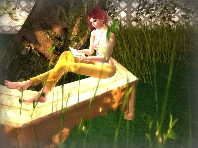 1 A Writers thoughts