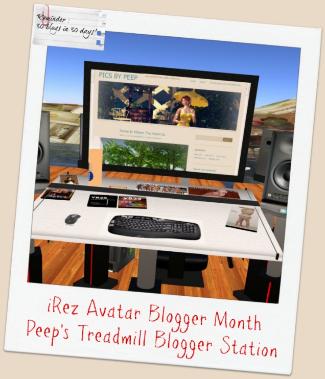 1 irezme work station_012J