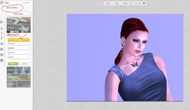 4. Basic Edit - Exposure - Auto Adjust