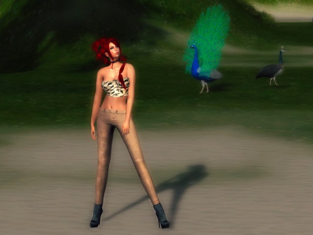 1 TDR Fusion July_007