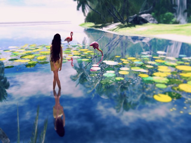 Mirrored Reflection Take 1