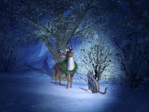 1 KIttyCatS Winterland_018