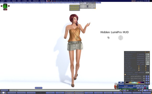 1 Hidden LumiPro HUD