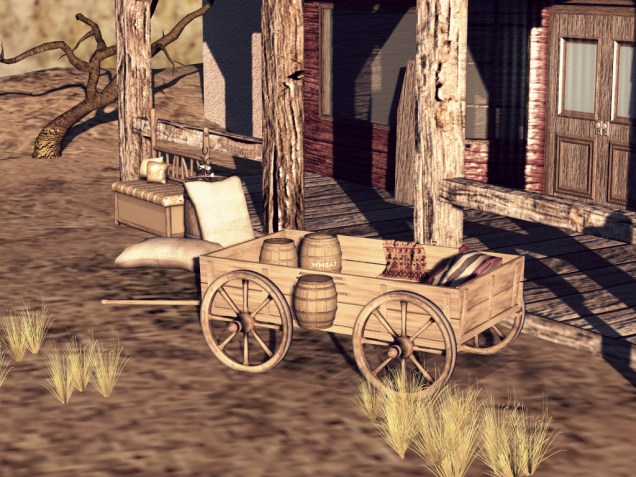 1 Wild Wild West_022