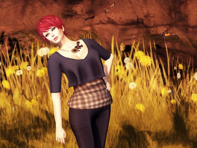 1 Ever Spinning Wheel D