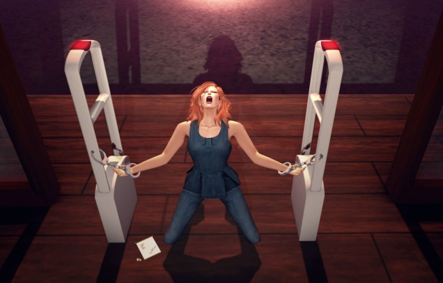 1 Shopping Restraint1