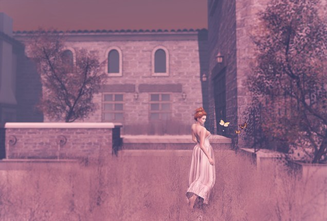 1 Butterflies in the Aftermath2