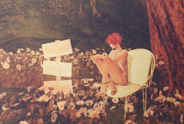 1 Daisies & Sunshine 1