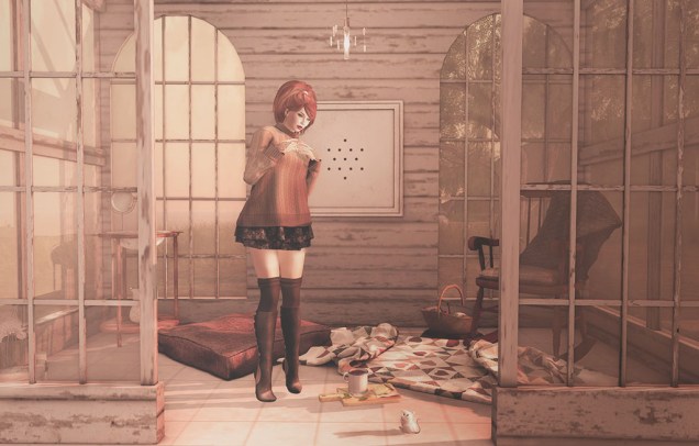 1 A Country Visitor sm