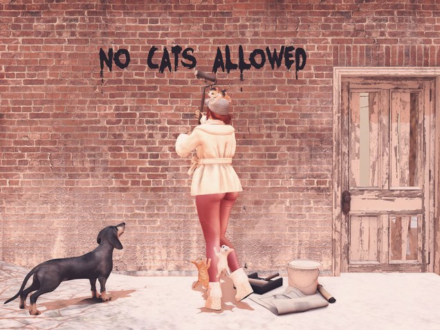 1 No Cats Allowed sm