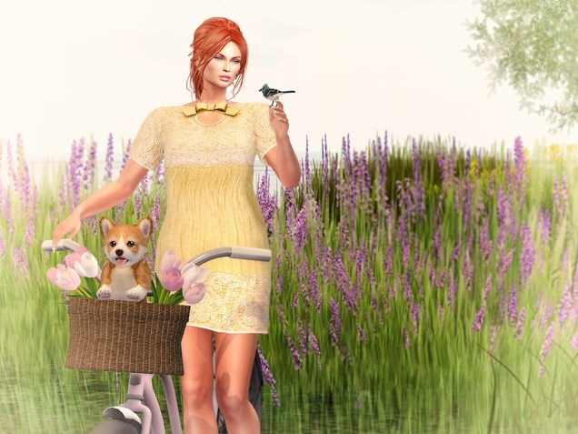 1-hey-hey-blue-jay-sm